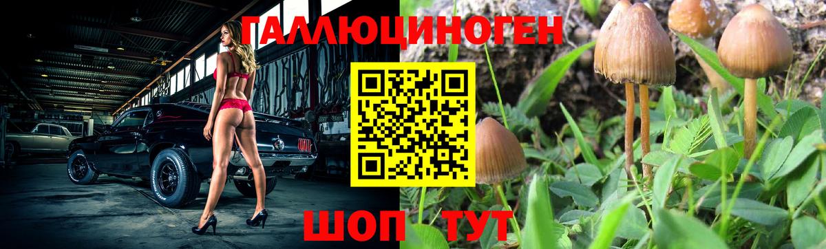 Псилоцибиновые грибы Magic Shrooms  Галлюциногенные грибы прущие грибы  Магнитогорск  Вход с VPN 