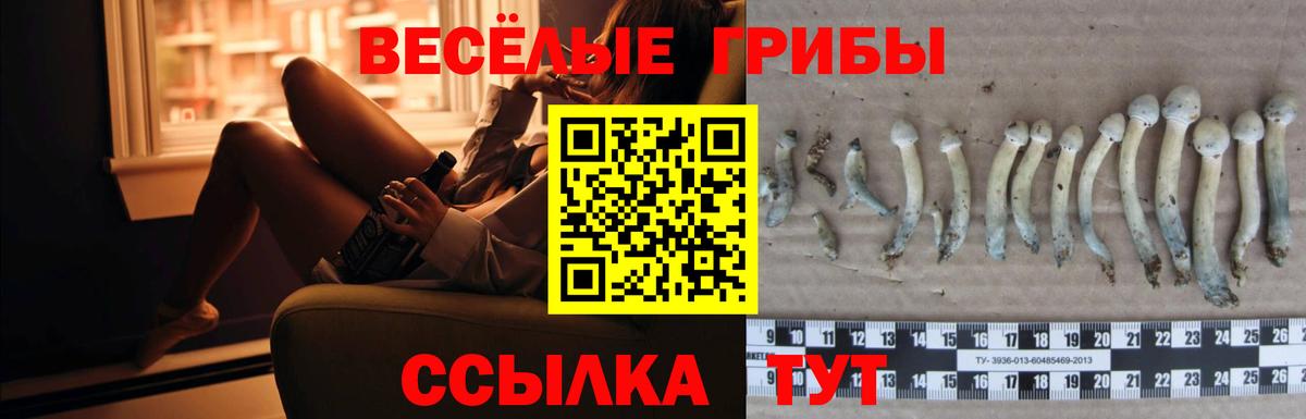 Псилоцибиновые грибы ЛСД Магнитогорск