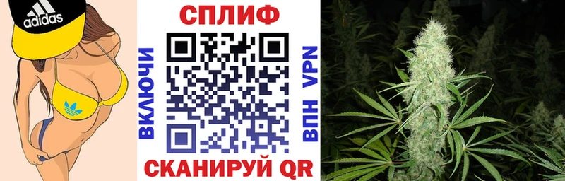 Каннабис семена Магнитогорск