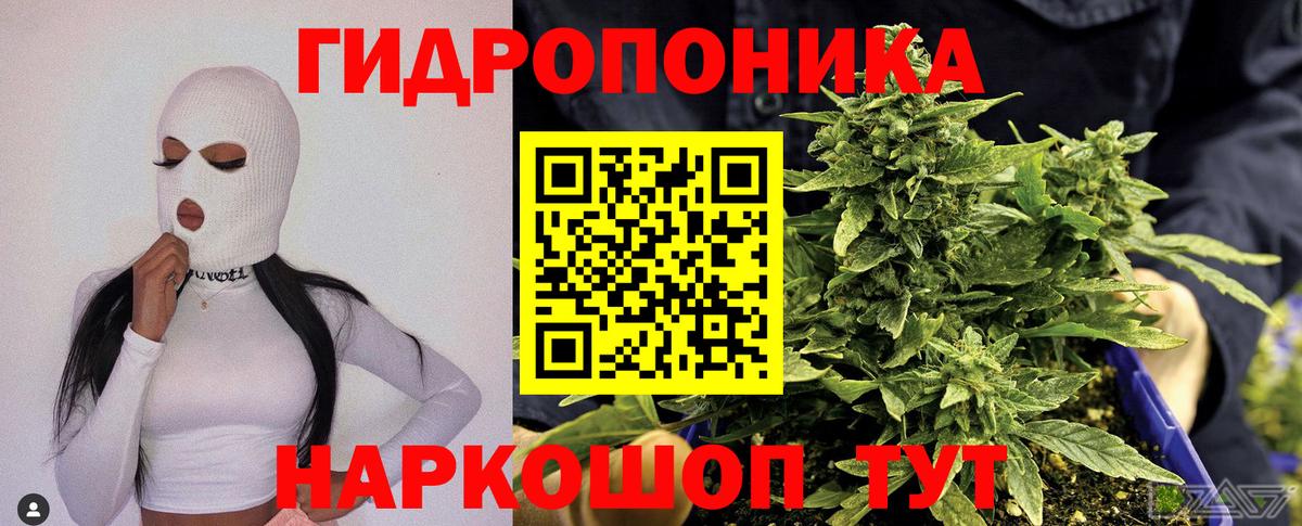 Бошки марихуана конопля  Вход с VPN  Магнитогорск  Шишки марихуана LSD WEED  Канабис MAZAR 